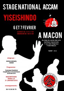 Affiche_Stage_Yiseishindo_2016