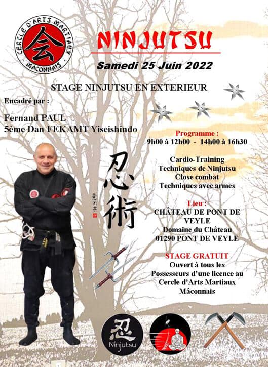 Affiche stage ninjutsu 25 juin 2022