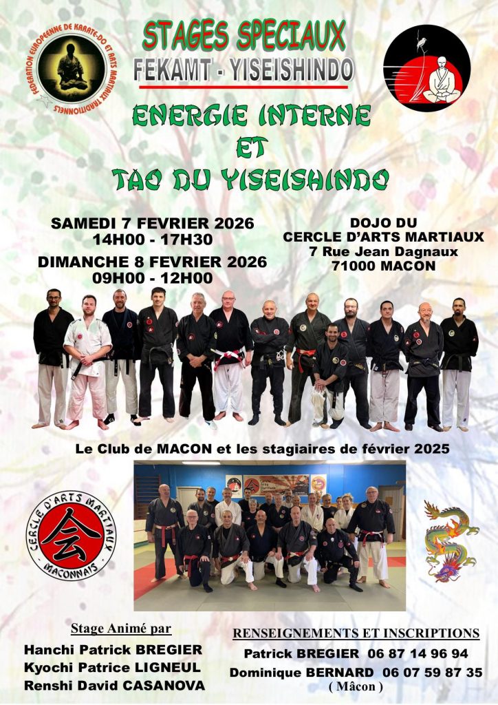 Affiche stage energie interne et tao du Yiseishindo